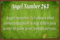 263 Angel Number Meaning - Pulptastic